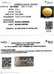 8.25/CT Natural Yellow Sapphire With Govt Lab Certificate (2331)